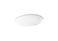 Kohler® 21782-0 Artifacts™ Bathroom Sink, Undermount Mounting, Vitreous China, White