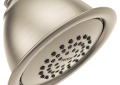 Moen® 6371BN 6371 Standard Traditional Shower Head, 2.5 gpm Min, 1 Sprays, Wall Mount, 3-3/4 x 2-3/4 in Head, Import