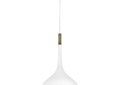 Hinkley® 4457CI Ziggy Transitional Medium Pendant, (1) Lamps Lamp, 120 V, Chalk White with Heritage Brass accents Housing