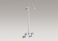 Kohler 7252-CP Industrial Showers