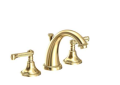 Newport Brass 1020-01 Widespread Lavatory Faucet - Forever Brass