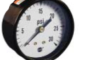 Weil McLain 510-218-045 1/4 inch Back Connection Steam Pressure Gauge