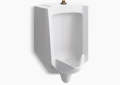 Kohler® 4991-ET-0 Bardon™ High Efficiency Washdown Urinal, 0.125/1 gpf Flush Rate, Top Spud, Wall Mount, White