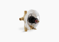 Kohler® 11748-K-NA Pressure Balancing Valve, 5 gpm Valve