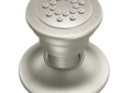 MOEN A501BN BODY SPRAY