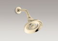 Kohler 10284-AF Multifunction Showerhead