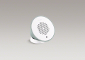 Kohler 9246-FBG Moxie(R) Showerheads: Single-Function