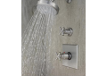 Newport Brass® 2143/10 Model 2143 Multi-Function Contemporary Shower Head, 1.8 gpm Maximum, 5 Sprays, 5-15/16 in Dia Head