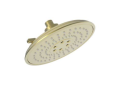 Newport Brass 2157-01 Luxnetic Multifunction Showerhead - Forever Brass