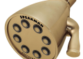 Speakman® S-2251-BBZ Icon™ Multi-Function Shower Head, 2.5 gpm Max Flow, 3 Sprays, 3.63 in Dia Head, Import