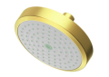Newport Brass 2141-04 Single Function Shower Head - Satin Brass