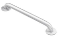 Moen® 8724 Grab Bar, Home Care®, 24 in L x 1-1/4 in Dia, Stainless Steel, 304 Stainless Steel, Import