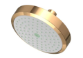 Newport Brass 2141-24A Single Function Shower Head - French Gold