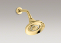 Kohler 10284-PB Multifunction Showerhead