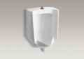 Kohler 4904-ET-0 Bardon(TM) Standard Urinals